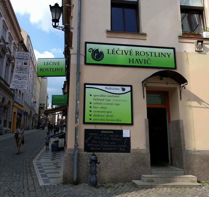 Léčivé rostliny Havič
