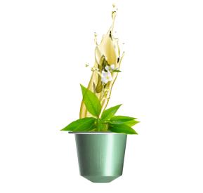 FLUIDUM JASMINE GREEN TEA BIO kapsle