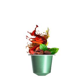 FLUIDUM CHOCOLATE ROOIBOS BIO kapsle